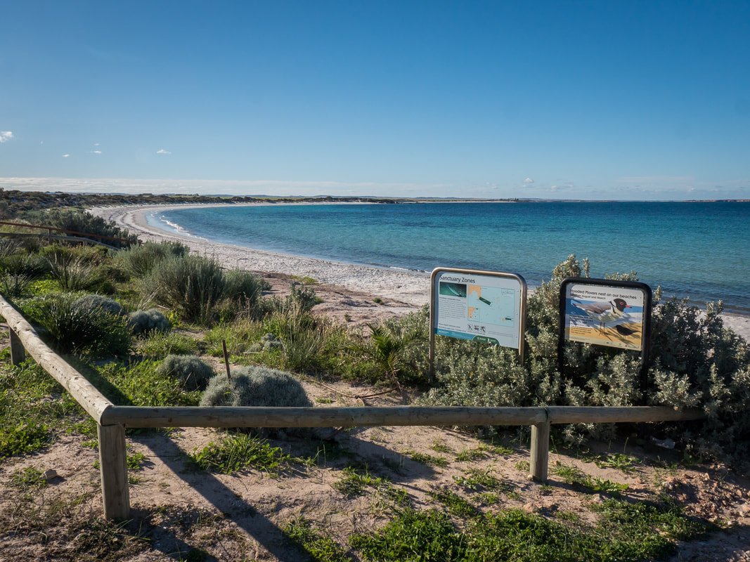 Redcliff Campsite 20